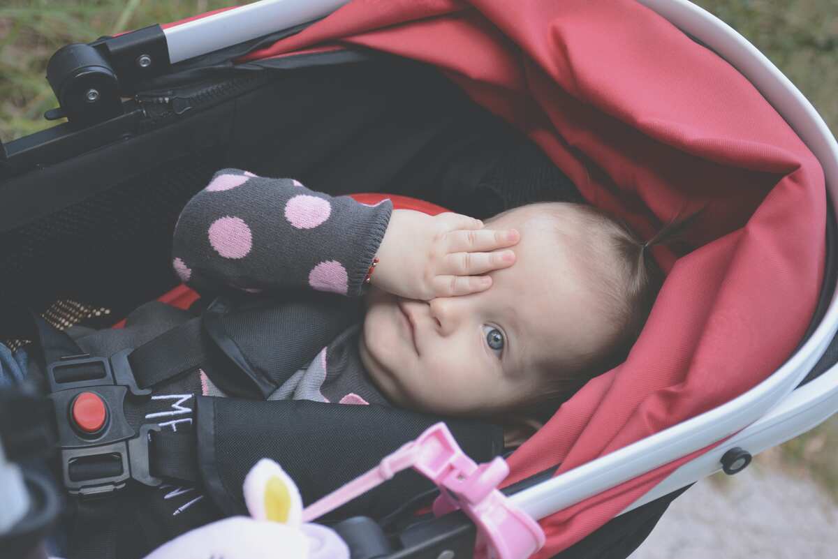 best baby strollers with car seat