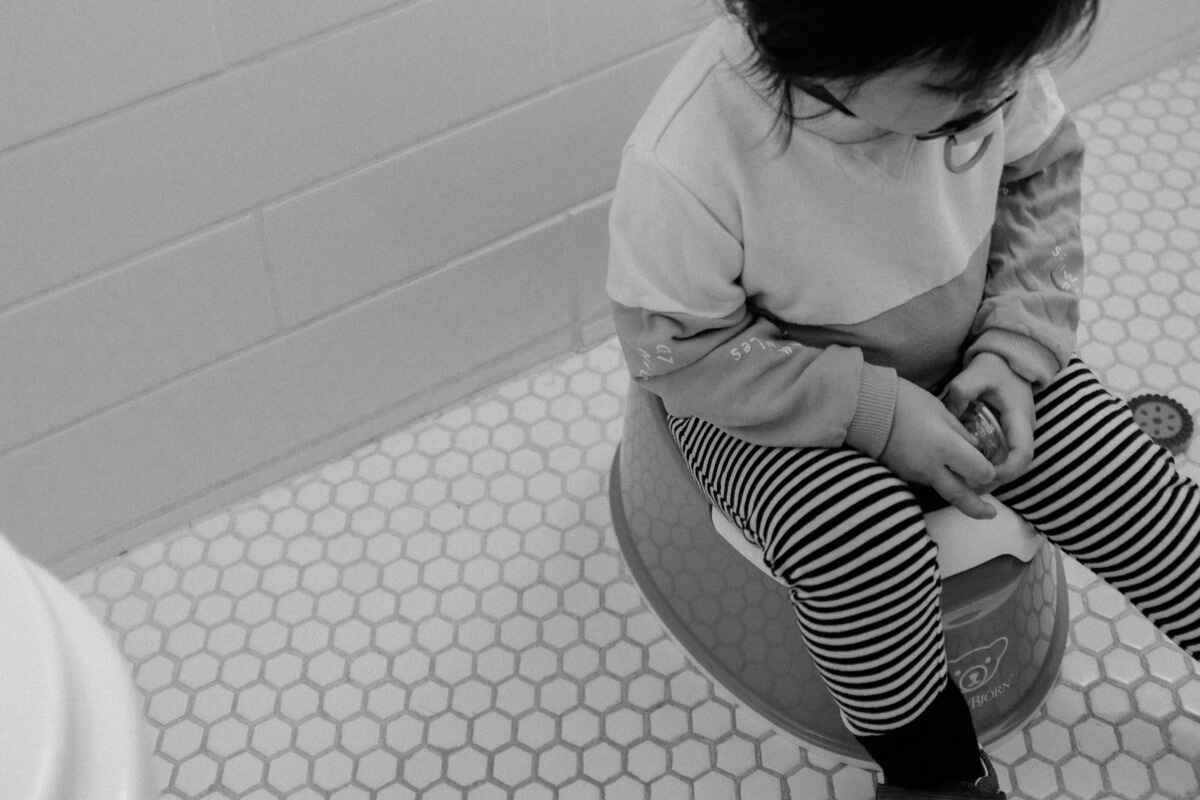 best potty training seat